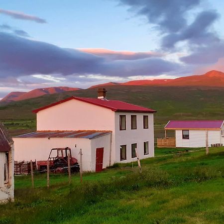 Skarth Guesthouse Saudarkrokur Luaran gambar