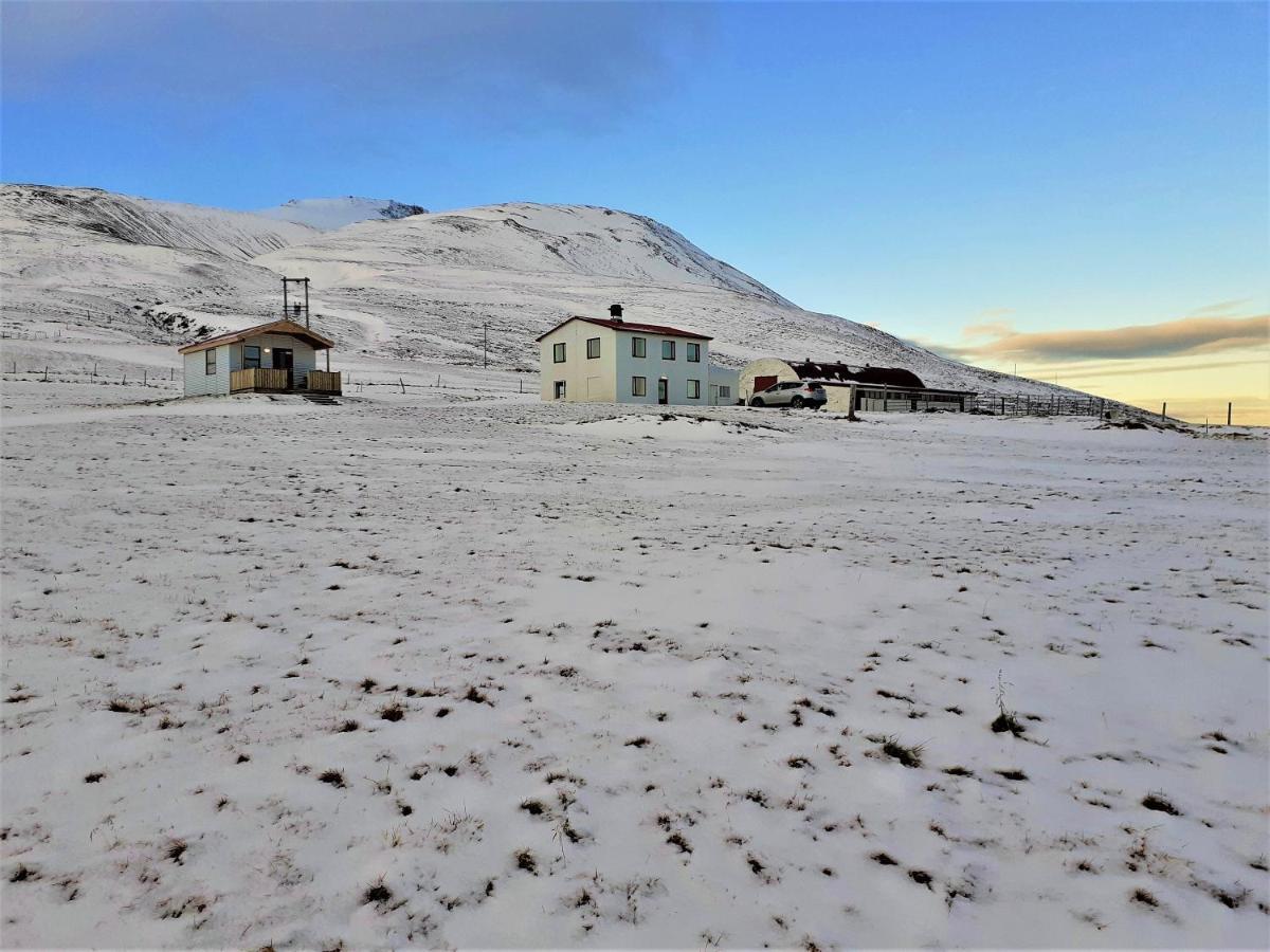 Skarth Guesthouse Saudarkrokur Luaran gambar